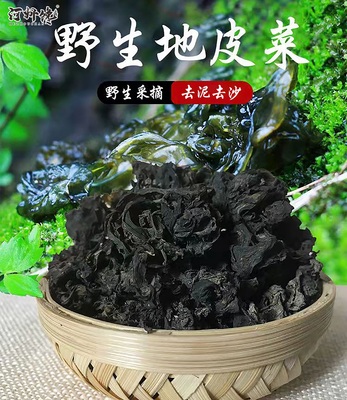 地皮菜 90g/盒