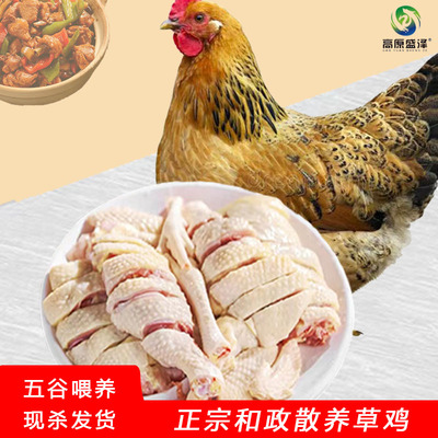 高原盛泽散养草鸡（4-5斤）